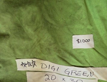 Digi-Green Screens